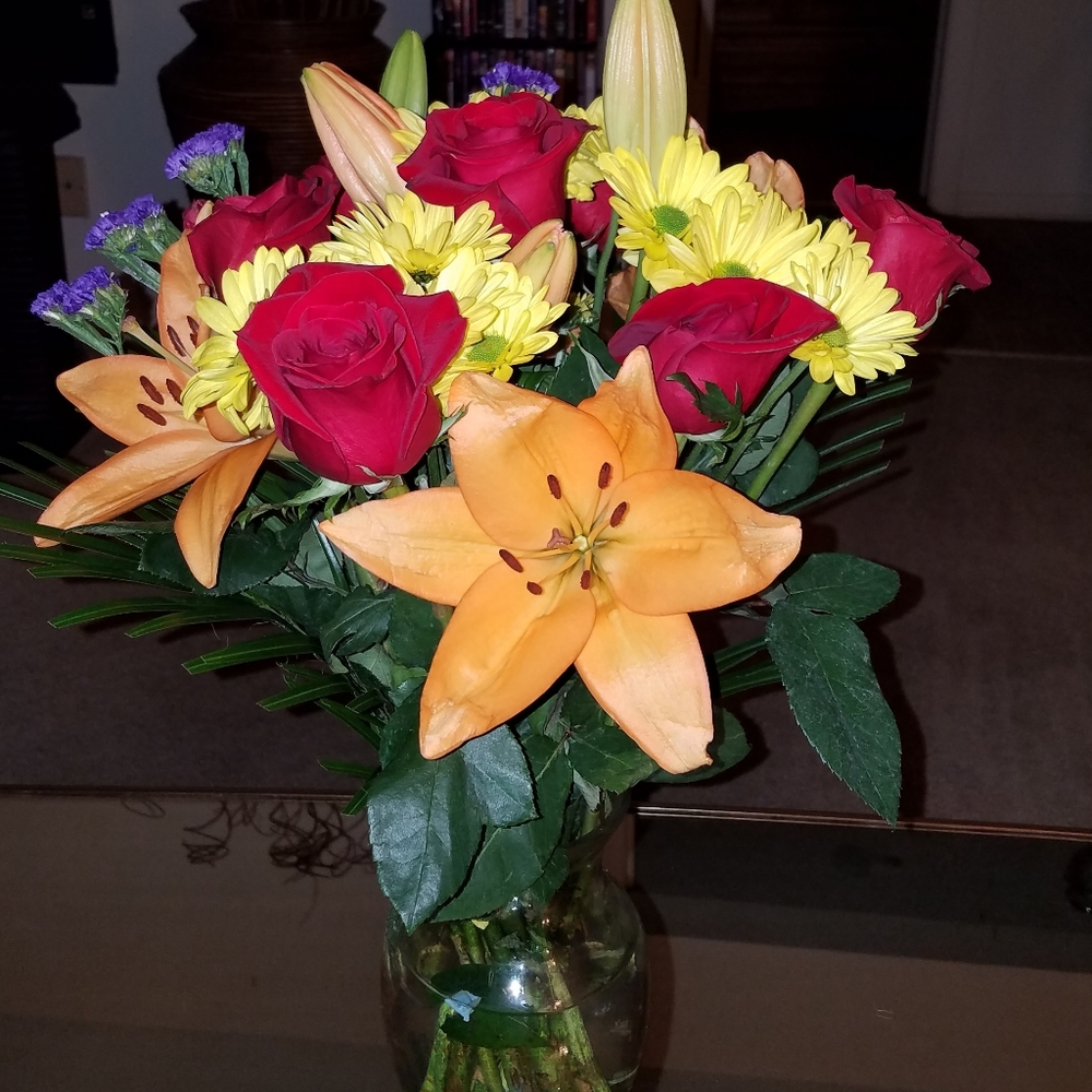 Meet your Posher, Eva